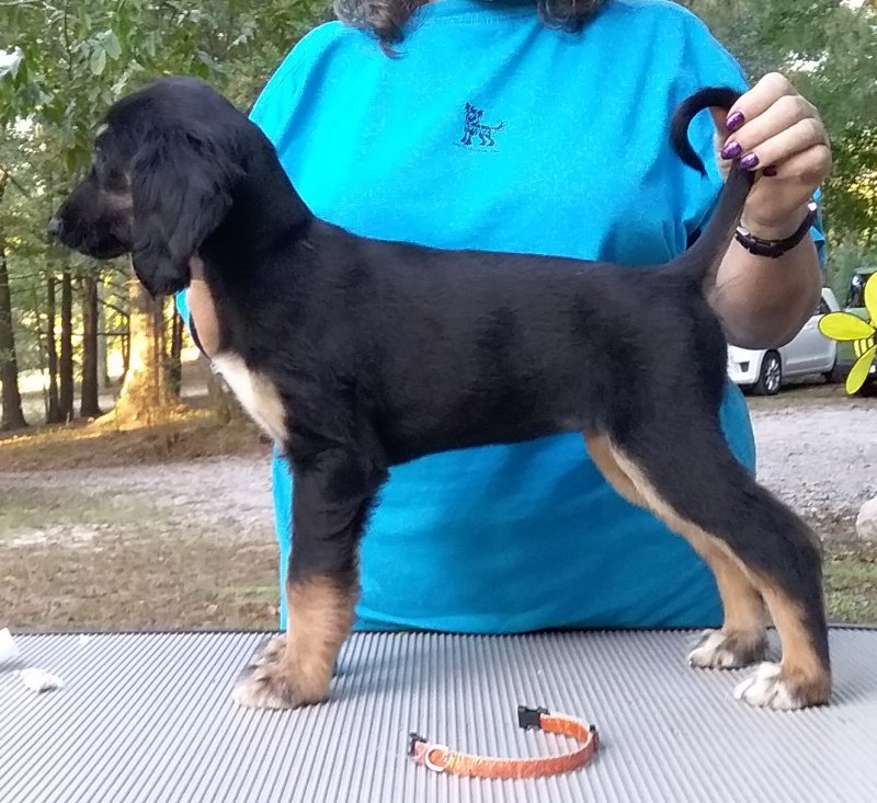 Orange Girl 7 Weeks.jpg - 1718 K